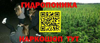спиды Чебоксары