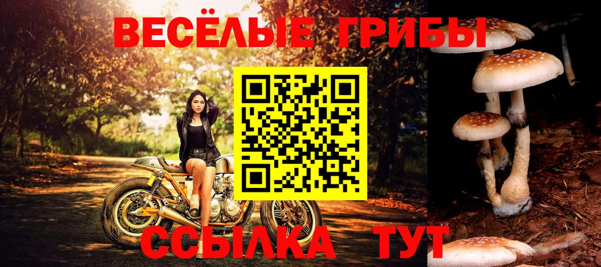 Чернушка  Галлюциногенные грибы Magic Shrooms  Псилоцибиновые грибы Magic Shrooms  Вход с VPN 