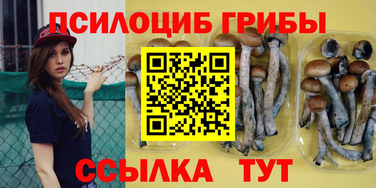 Псилоцибиновые грибы Magic Shrooms Чернушка